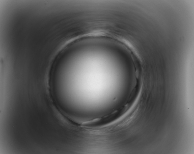 X0000088891422200706151821