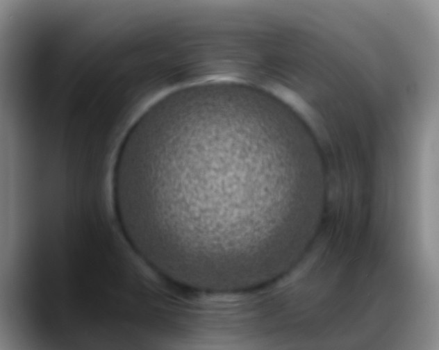 X0000088891423200706151821