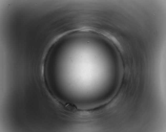 X0000088891424200706151821