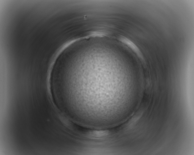 X0000088891427200706151821