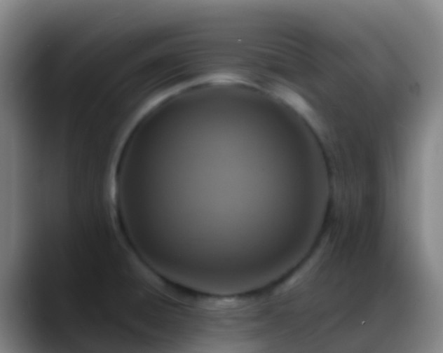 X0000088891428200706151821