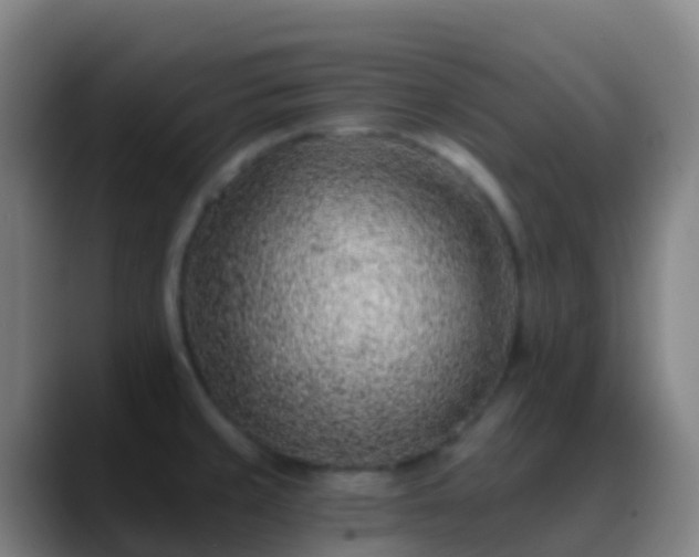 X0000088891429200706151821