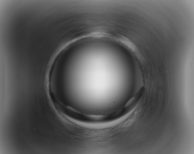 X0000088891430200706151821