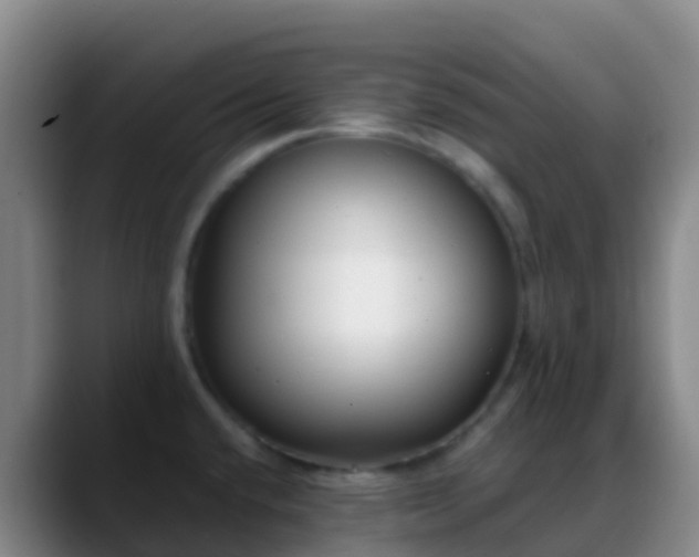 X0000088891432200706151821