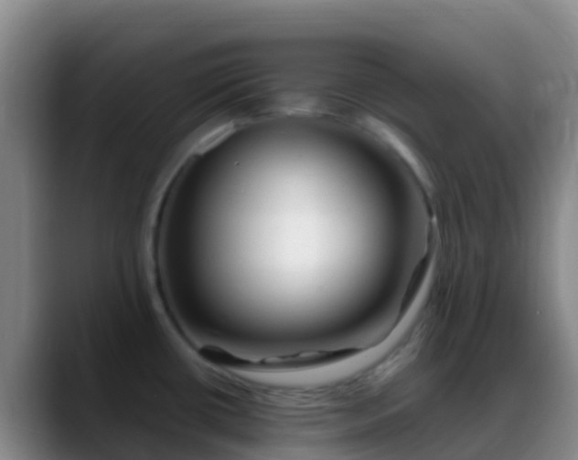 X0000088891434200706151822