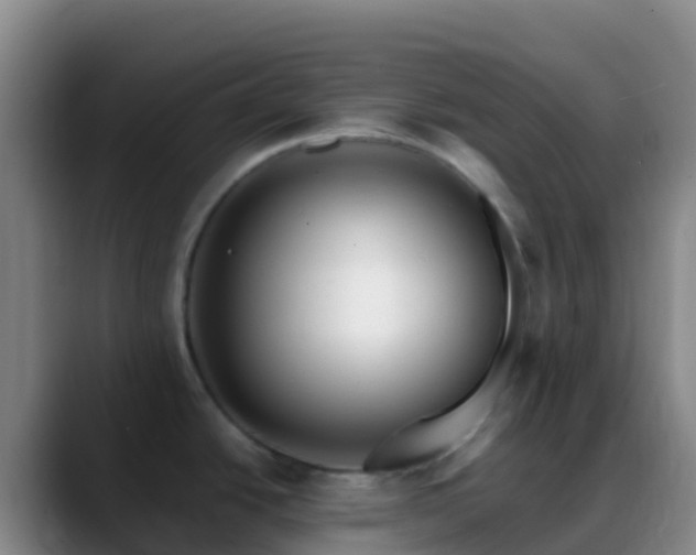 X0000088891438200706151822