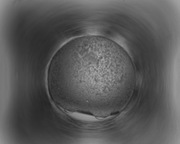 X0000088891439200706151822