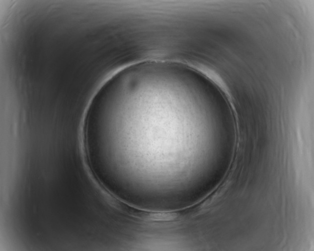 X0000088891440200706151822