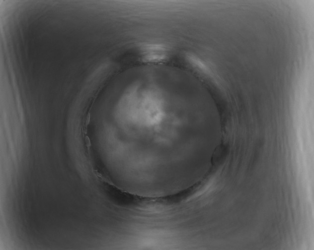 X0000088891441200706151821