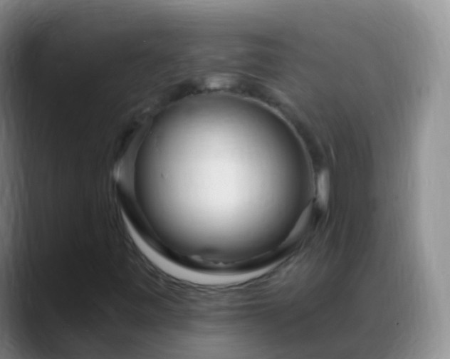 X0000088891443200706151821