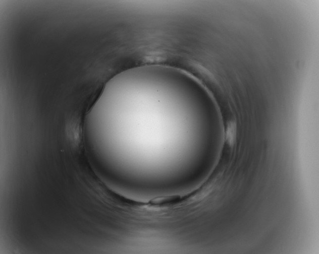 X0000088891444200706151821