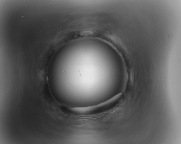 X0000088891445200706151821