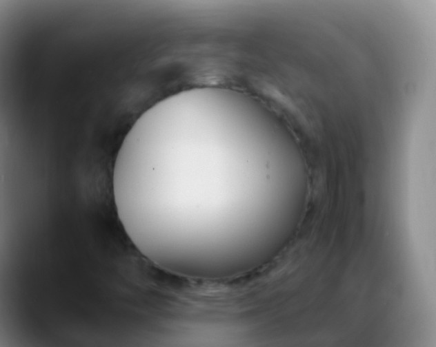 X0000088891446200706151821