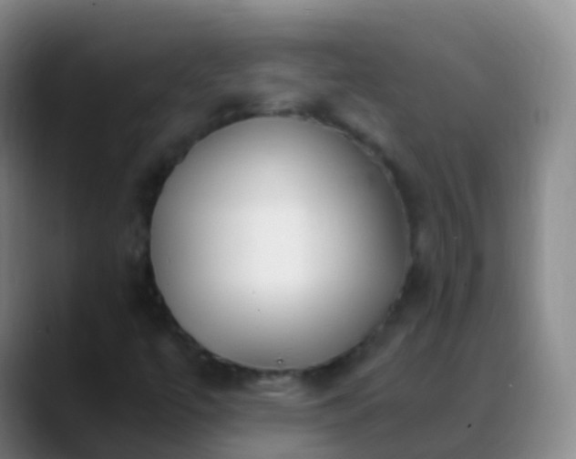 X0000088891447200706151821