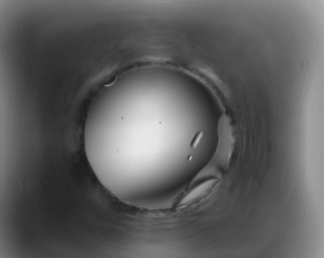 X0000088891448200706151821