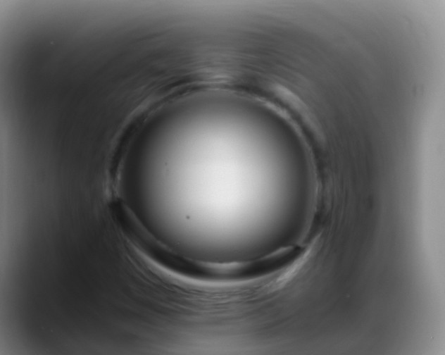 X0000088891449200706151821