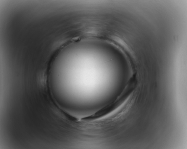 X0000088891450200706151821