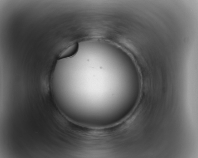 X0000088891451200706151821