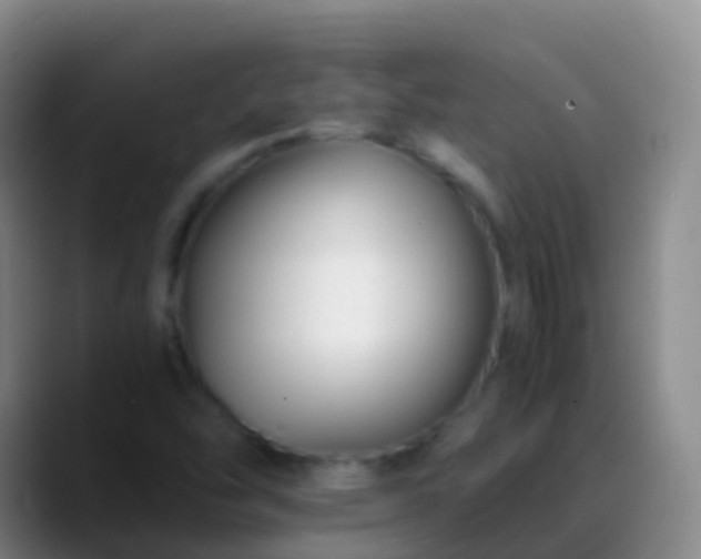 X0000088891454200706151821