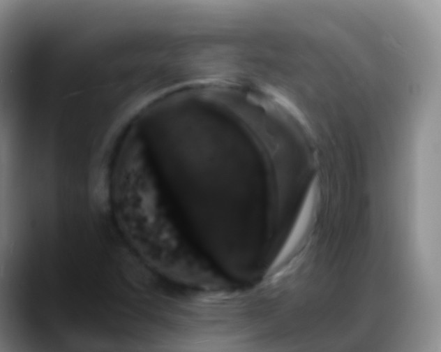 X0000088891455200706151821