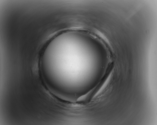 X0000088891456200706151821