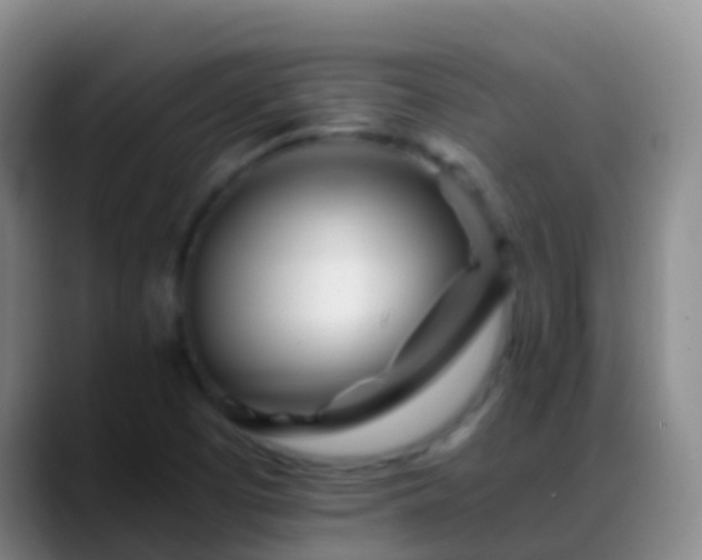 X0000088891457200706151821