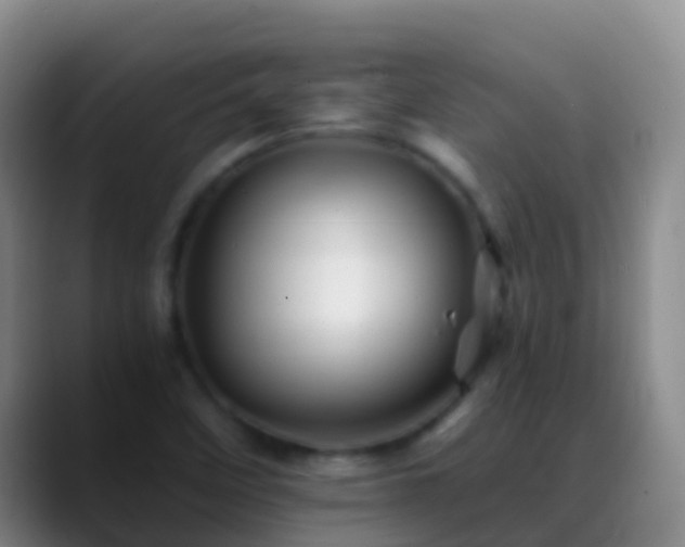 X0000088891458200706151821