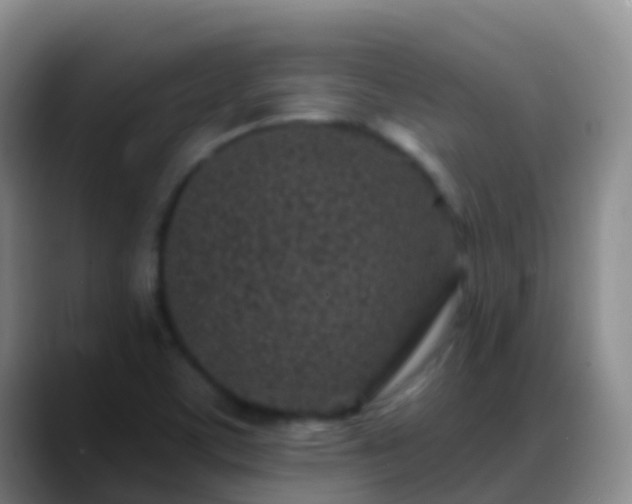 X0000088891459200706151821