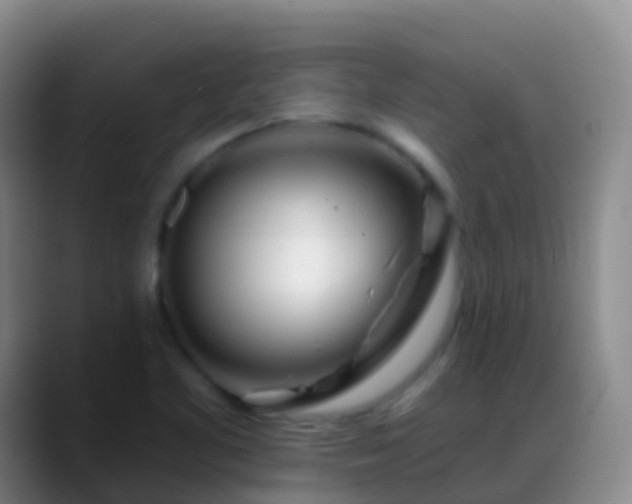 X0000088891461200706151821