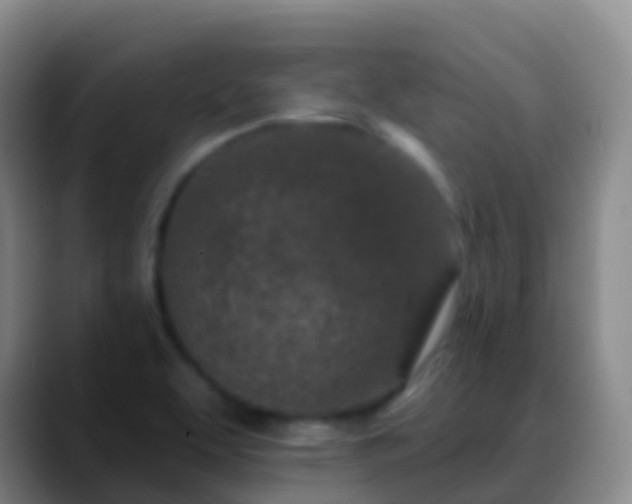 X0000088891463200706151821