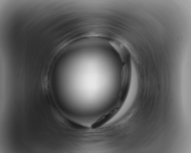 X0000088891465200706151821