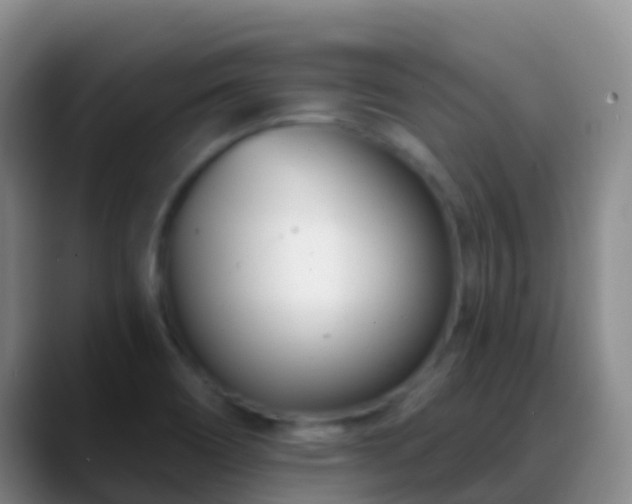 X0000088891466200706151821