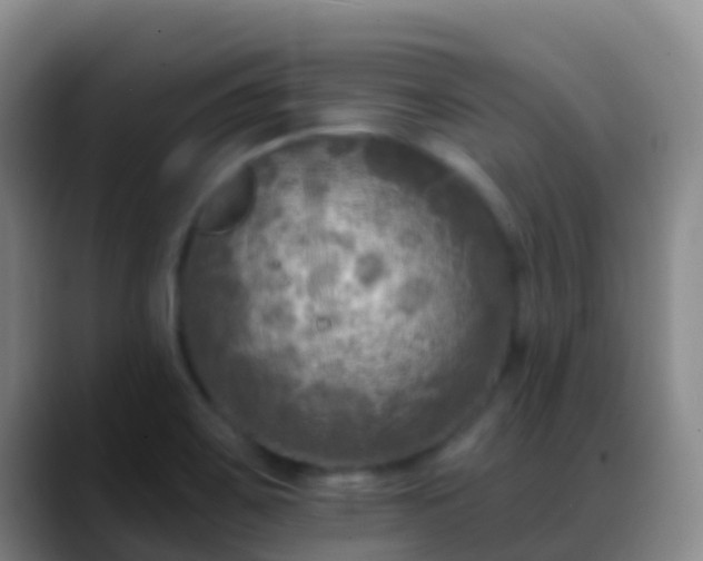 X0000088891467200706151821