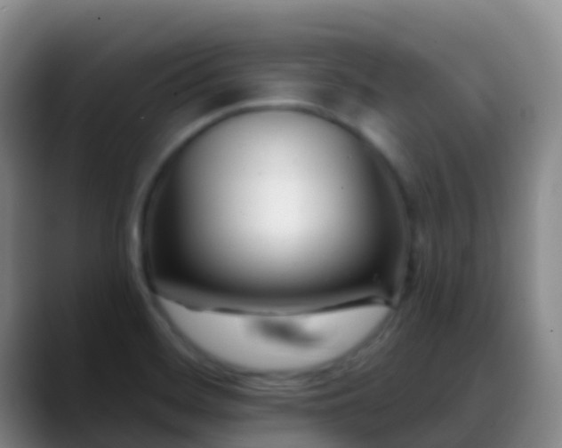 X0000088891468200706151821