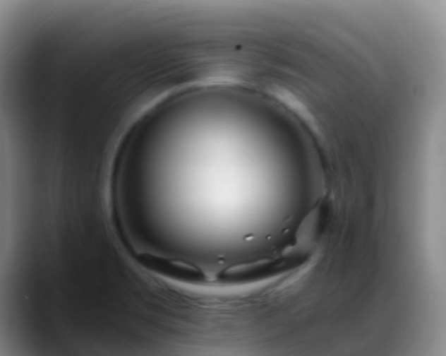 X0000088891469200706151821