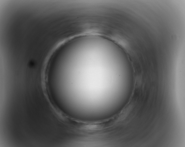 X0000088891470200706151821