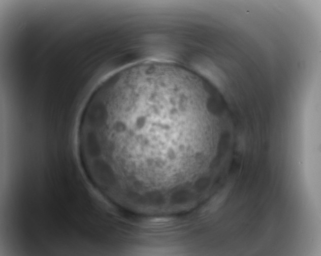 X0000088891471200706151821