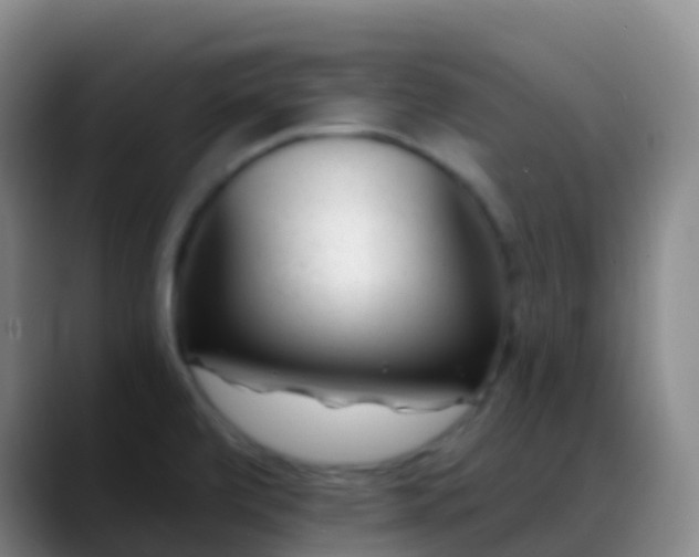 X0000088891472200706151821