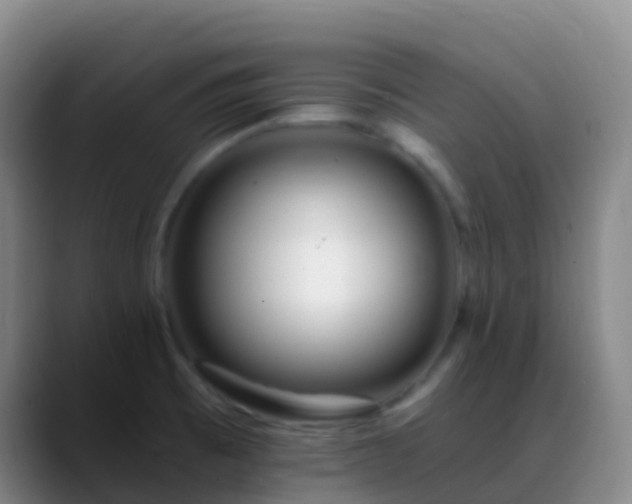 X0000088891473200706151821