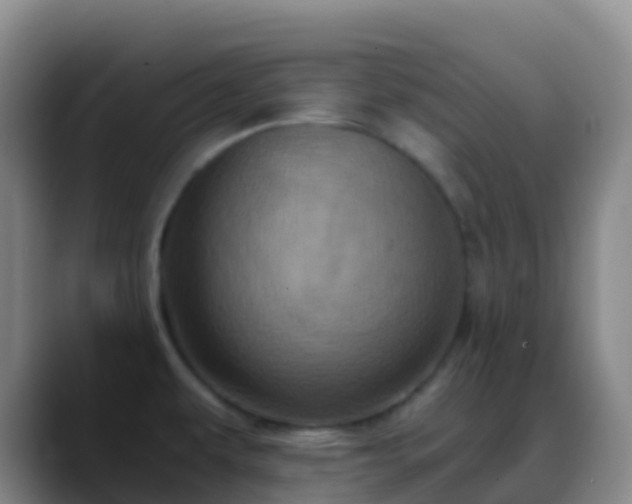 X0000088891479200706151821