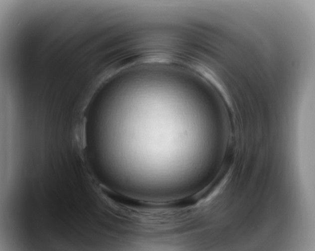 X0000088891481200706151821