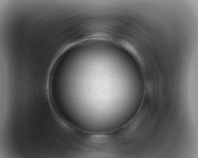 X0000088891482200706151821