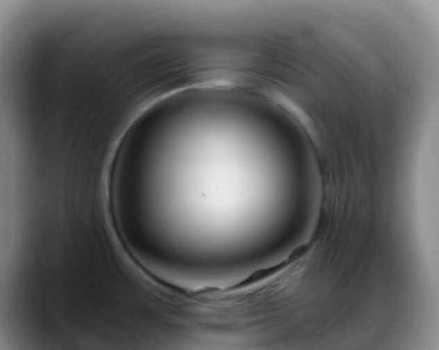 X0000088891483200706151821