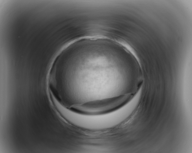 X0000088891485200706151821