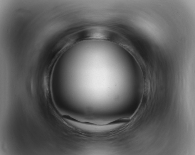 X0000088891487200706151820