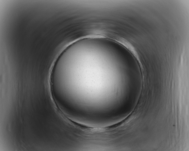 X0000088891488200706151820