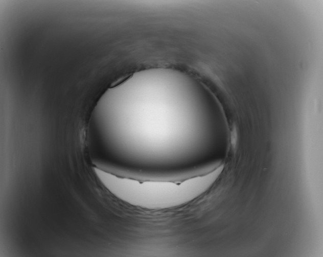 X0000088891492200706151820