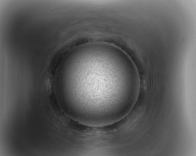 X0000088891493200706151820