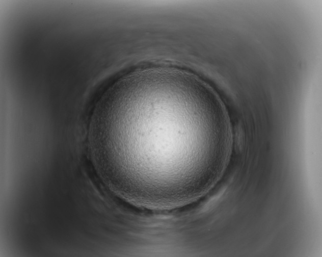 X0000088891494200706151820