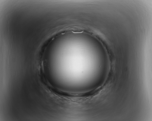 X0000088891496200706151820